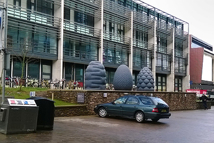 Peter Randall-Page, Plymouth University